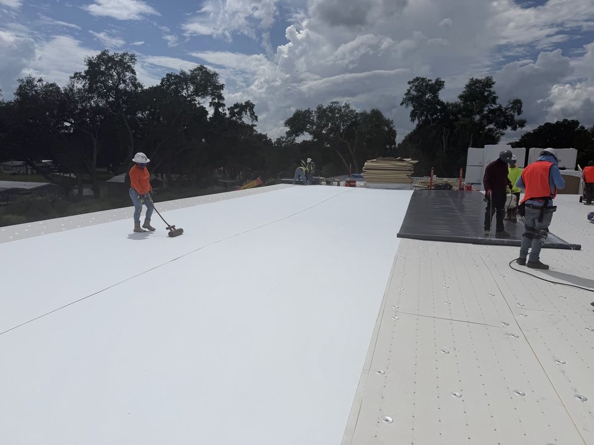 Roofing crew rolling seams on a white TPO flat roof membrane over fastened cover board, commercial project in Leesburg, FL